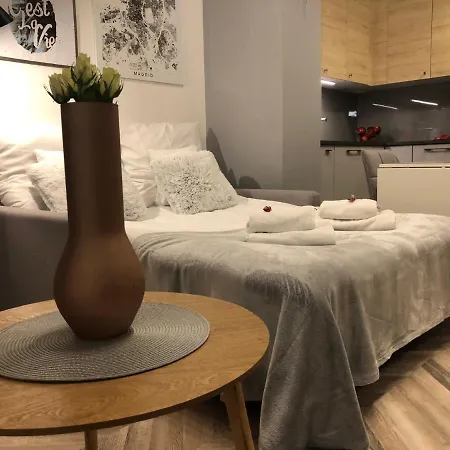 Center Apartment Katowice